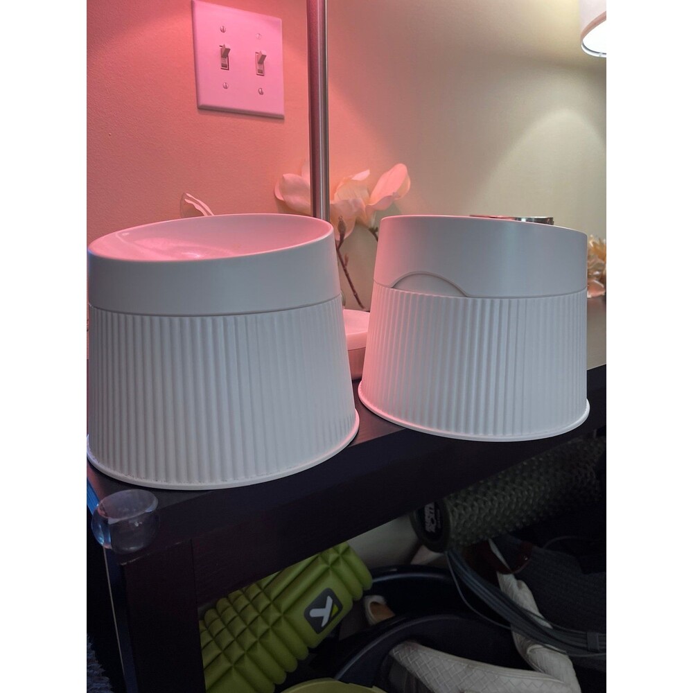 Elevated Ergonomic Cat Food Bowl to protect spines and relieve whisker fatigue